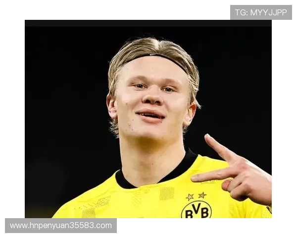 哈兰德足球明星头像解析与背后故事揭秘